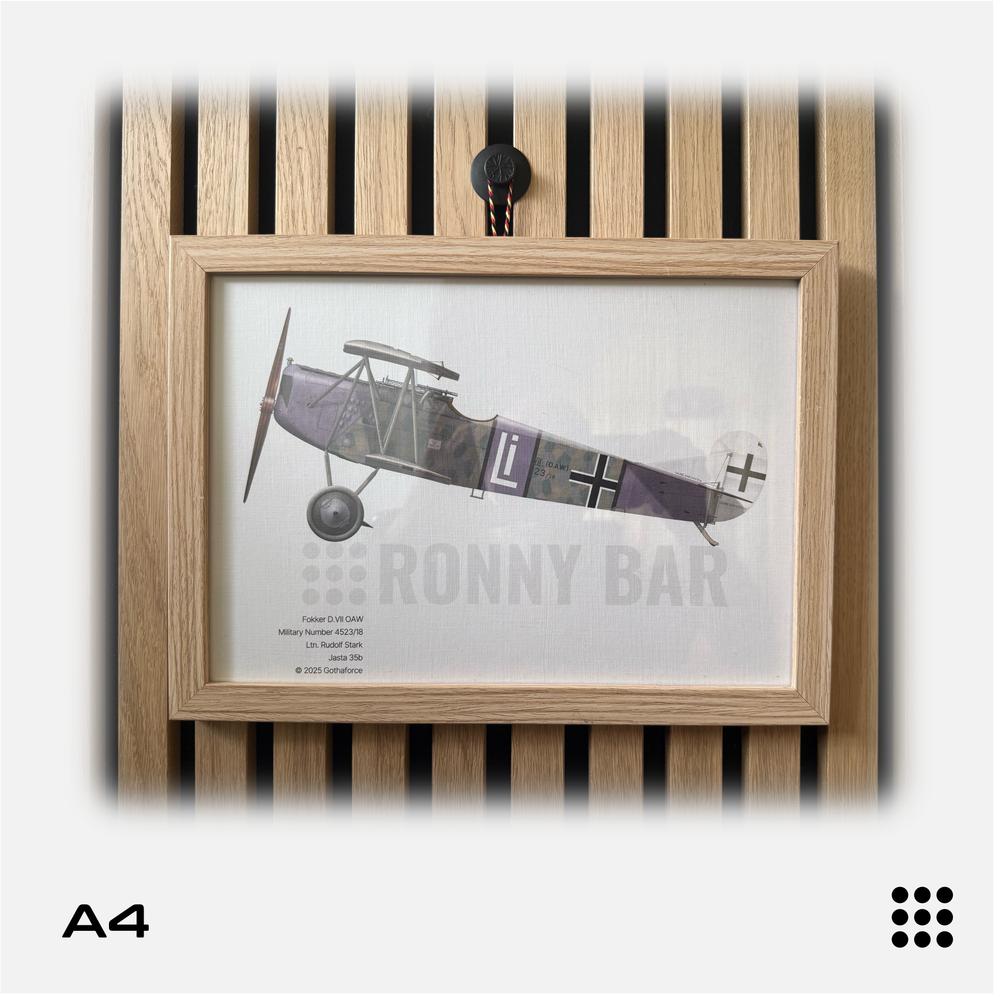 Gothaforce - A4 Aviation Profile Fokker DVII OAW Rudolf Stark - GFAPA4P00104 - Gothaforce
