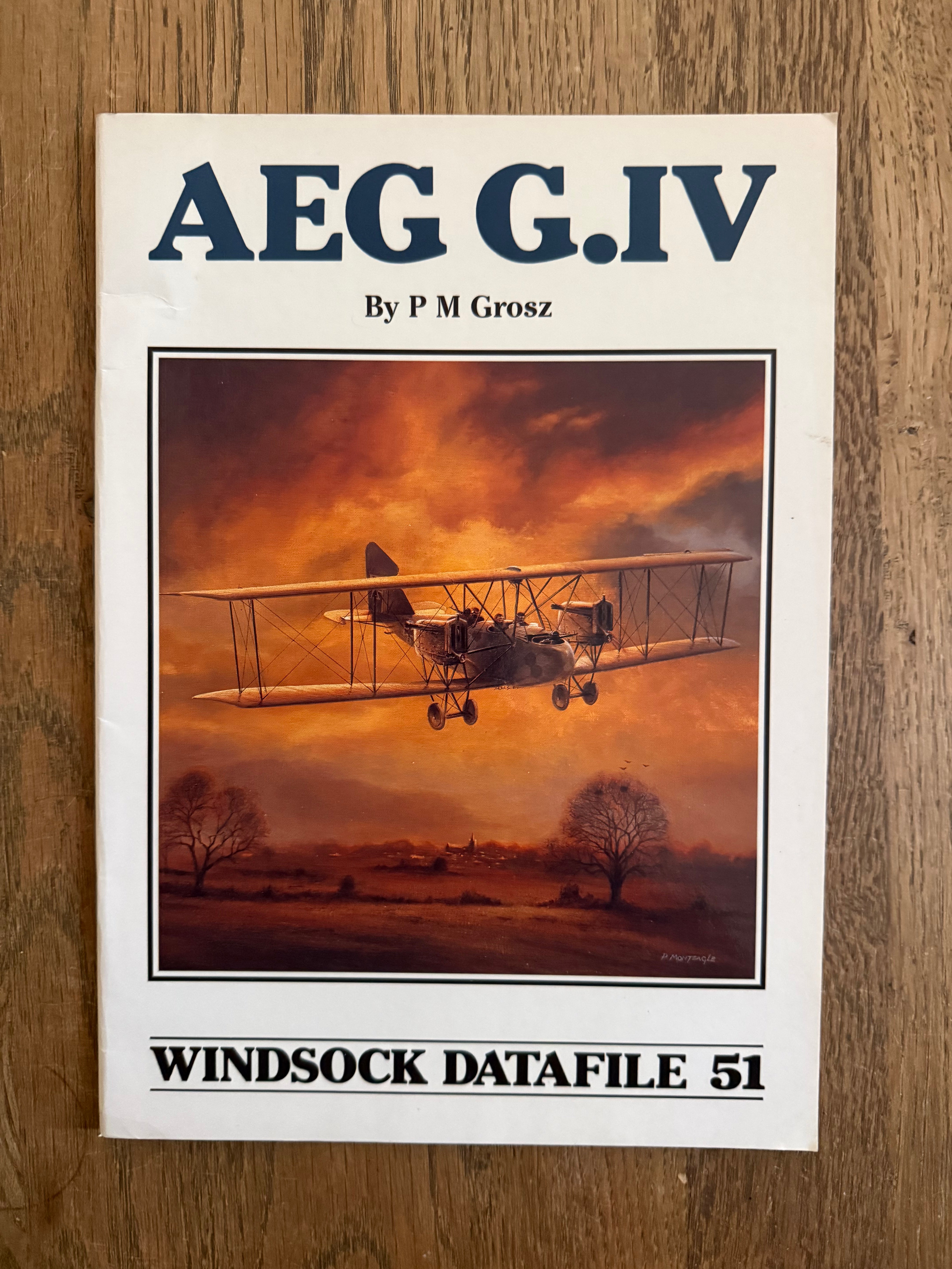 Windsock Data File 51 - AEG G.IV