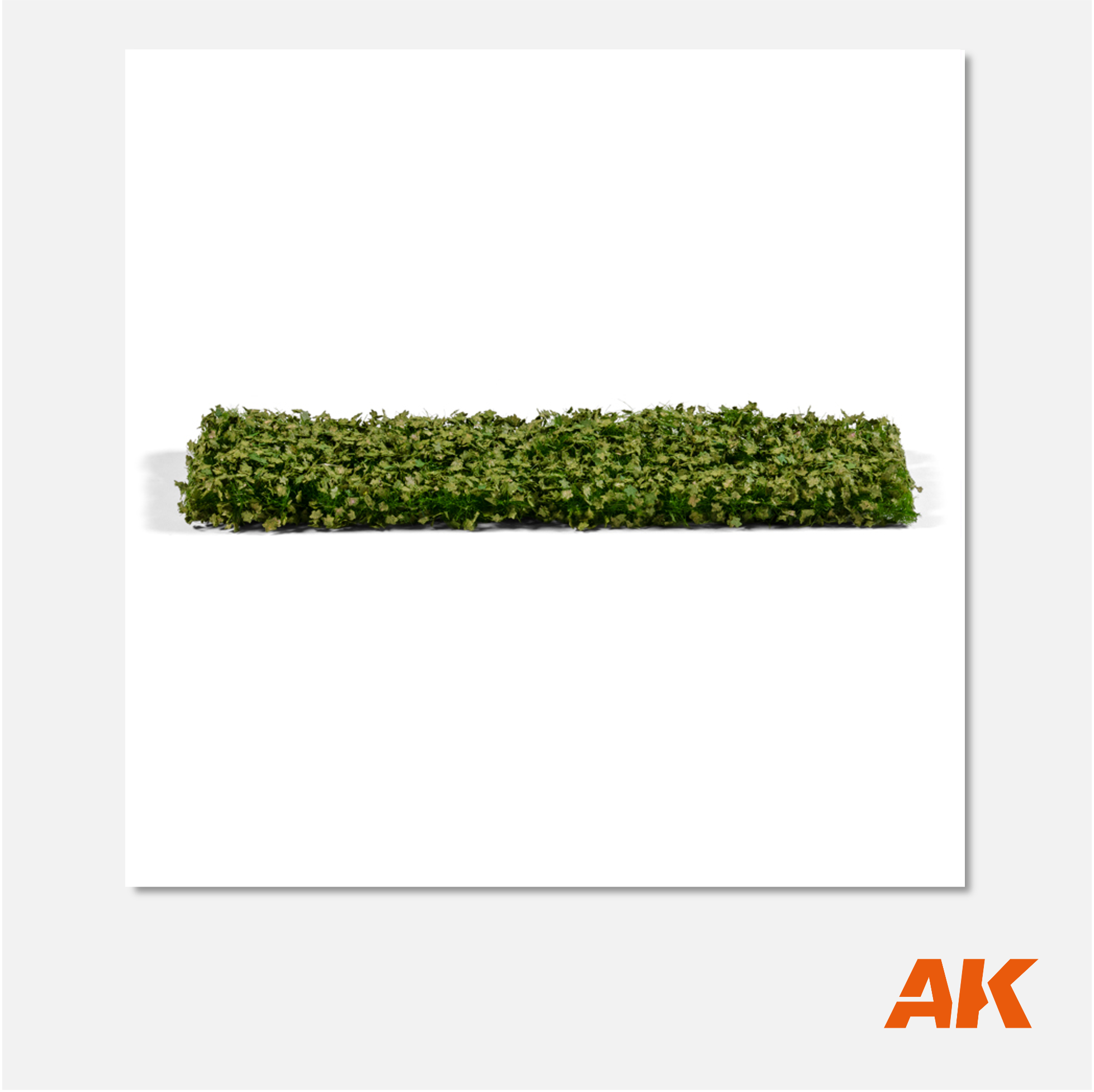 AK Platane Foliage Summer
