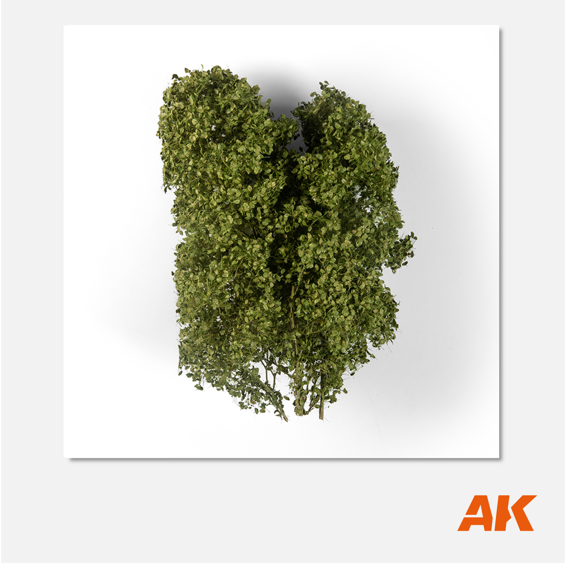 AK Summer Filigree Bushes
