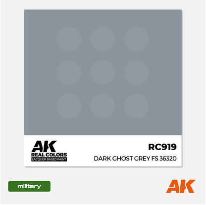 AK Real Colors - Dark Ghost Grey FS 36320