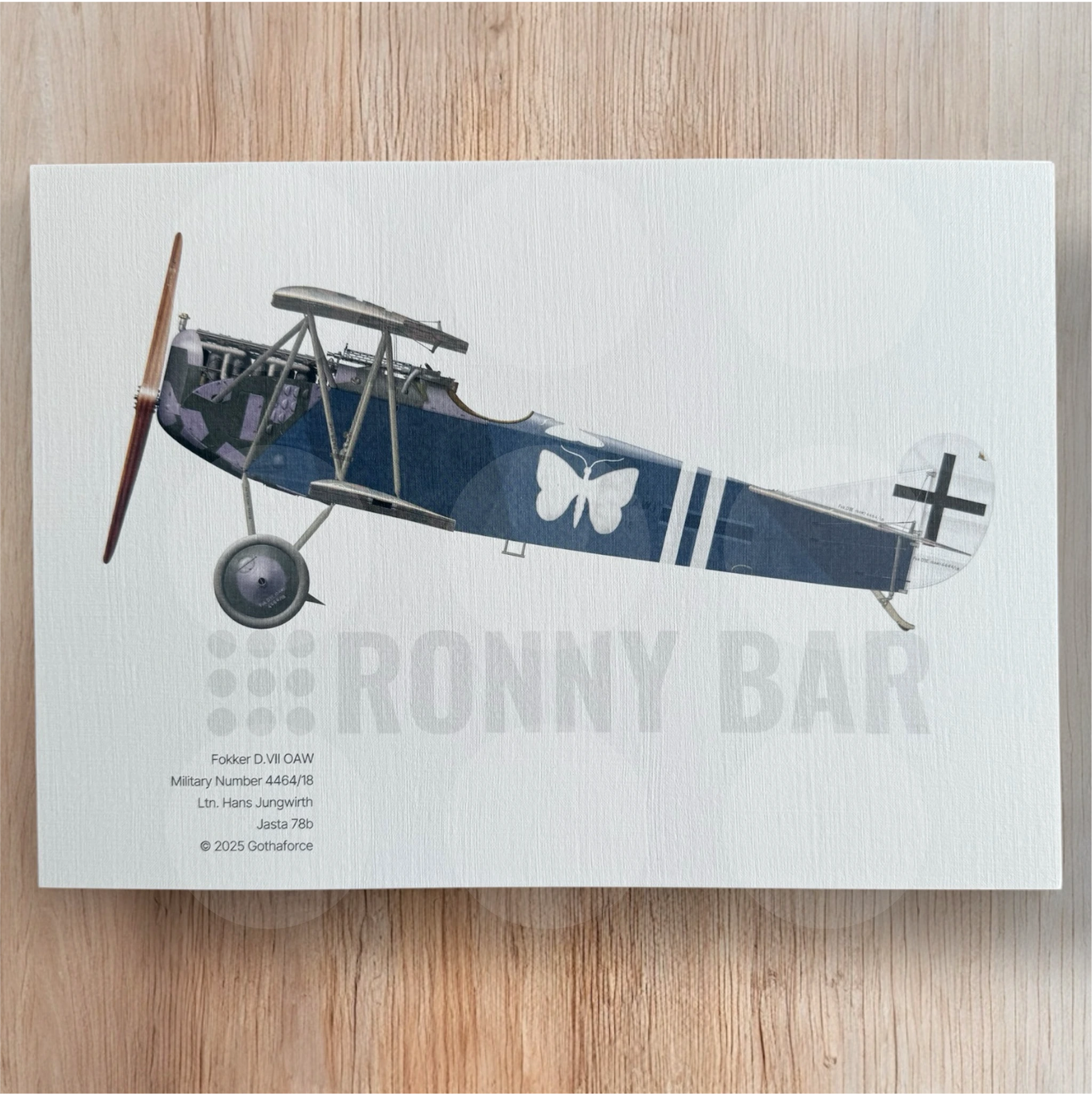 Gothaforce - A4 Print Fokker D.VII OAW Hans Jungwirth - GFAPA4P00101