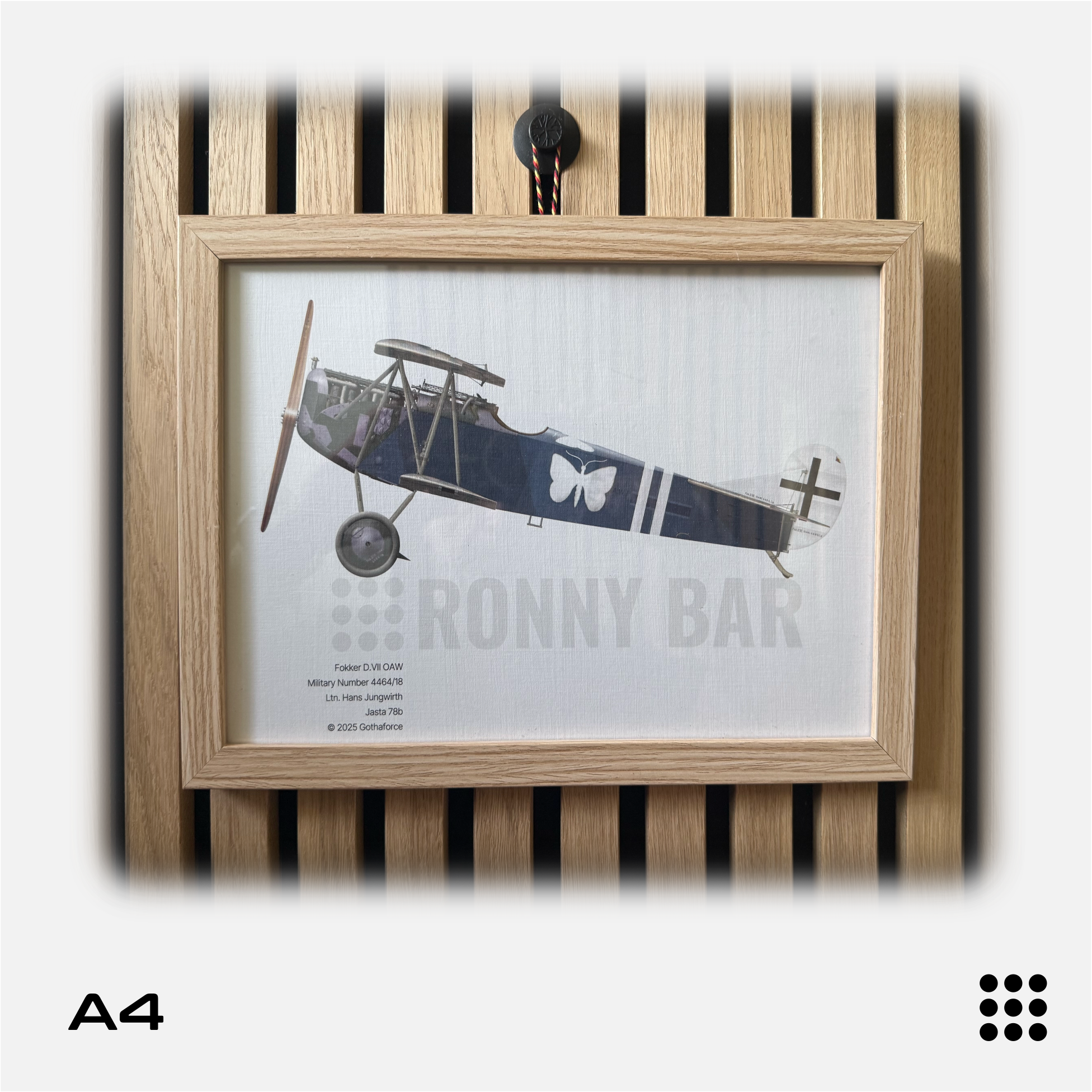 Gothaforce - A4 Aviation Profile Fokker DVII OAW Hans Jungwirth- GFAPA4P00101 - Gothaforce