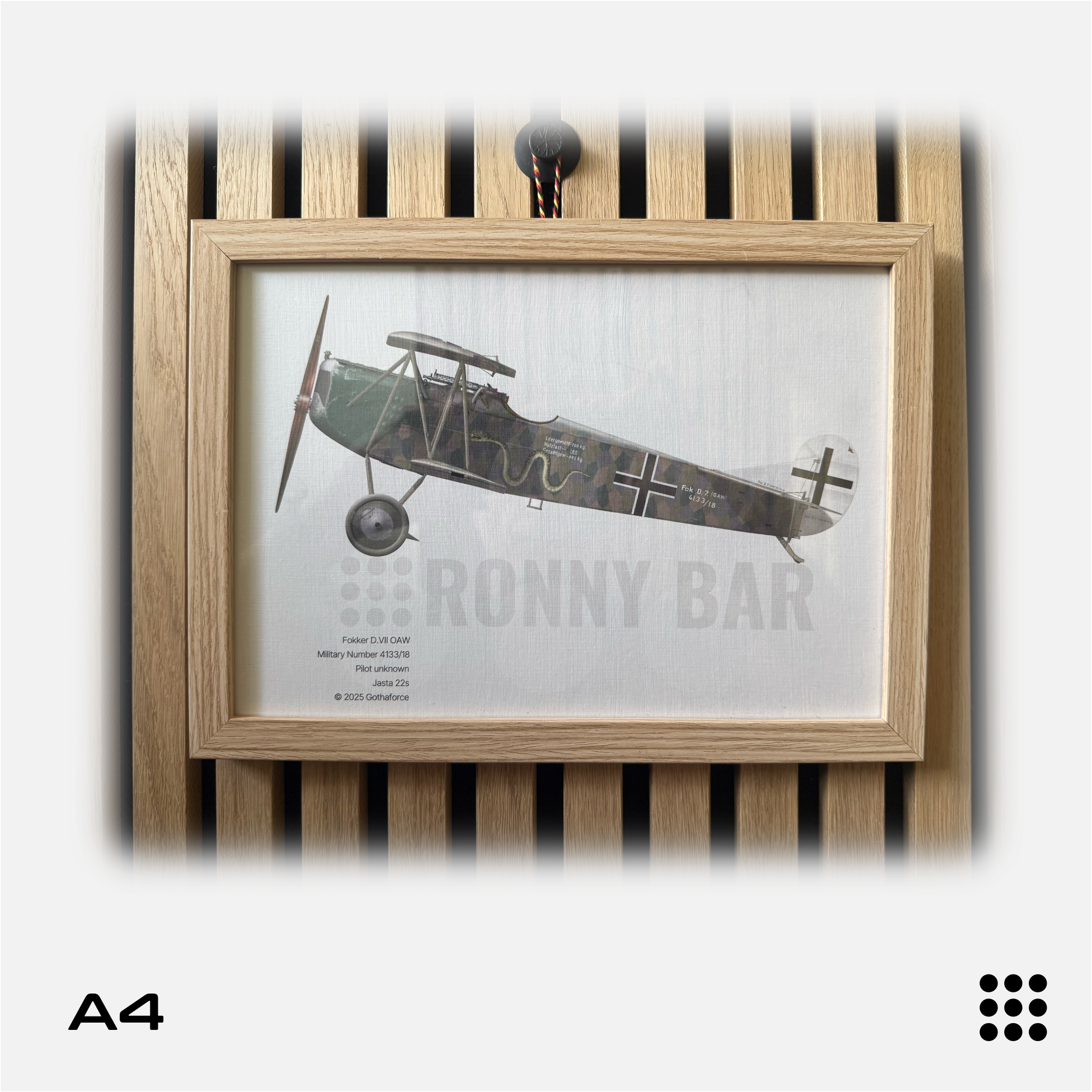 Gothaforce - A4 Aviation Profile Fokker DVII OAW 4133/18 - GFAPA4P00106 - Gothaforce
