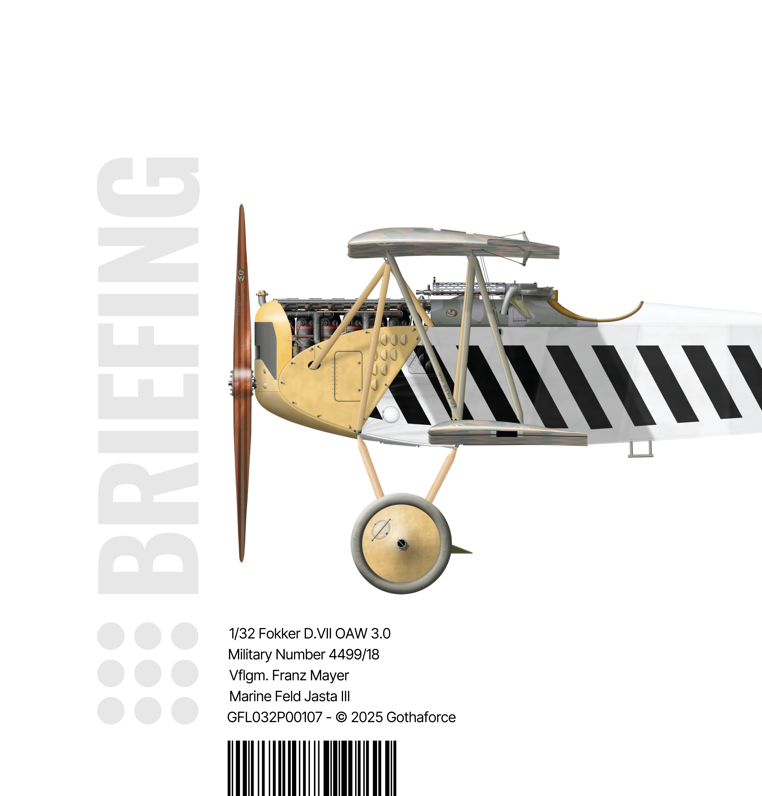 Gothaforce Fokker DVII OAW 3.0 Franz Mayer - Briefing - Image Cover