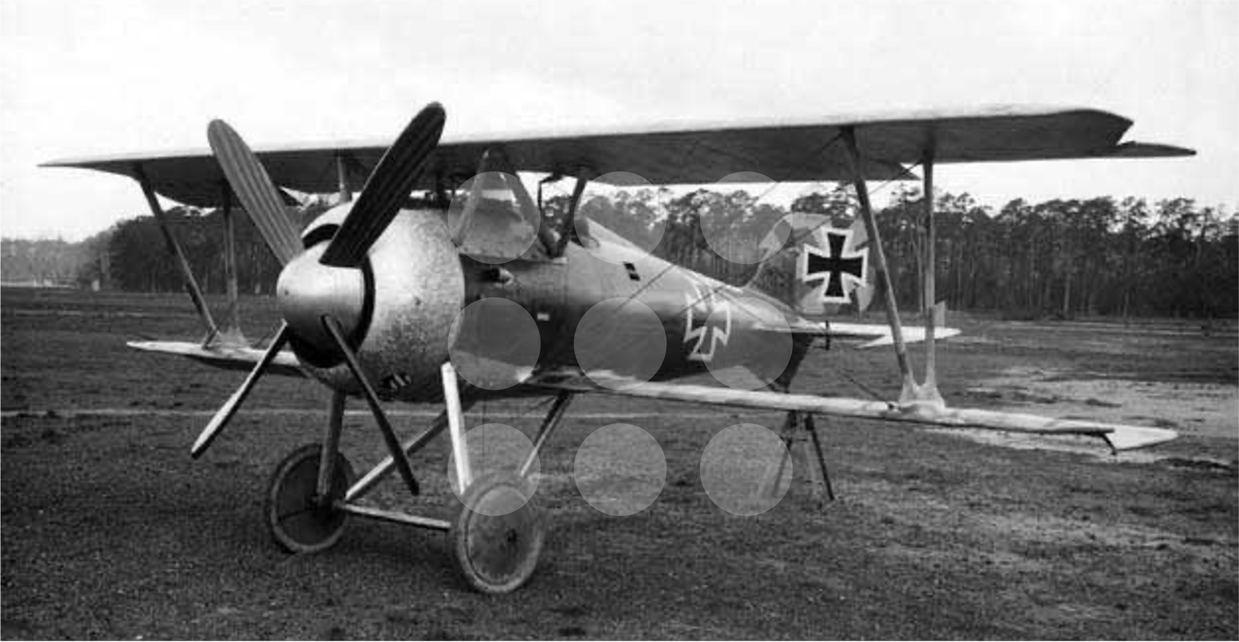 Gothaforce - Siemens-Schuckert D.III