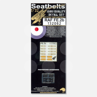 1/32 Seatbelts Fe.2b
