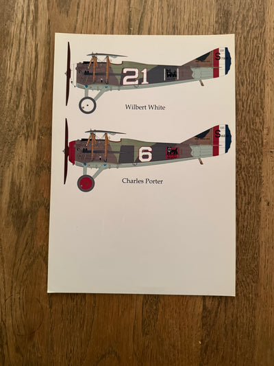 Pheon Decals Glossy Pack Spad