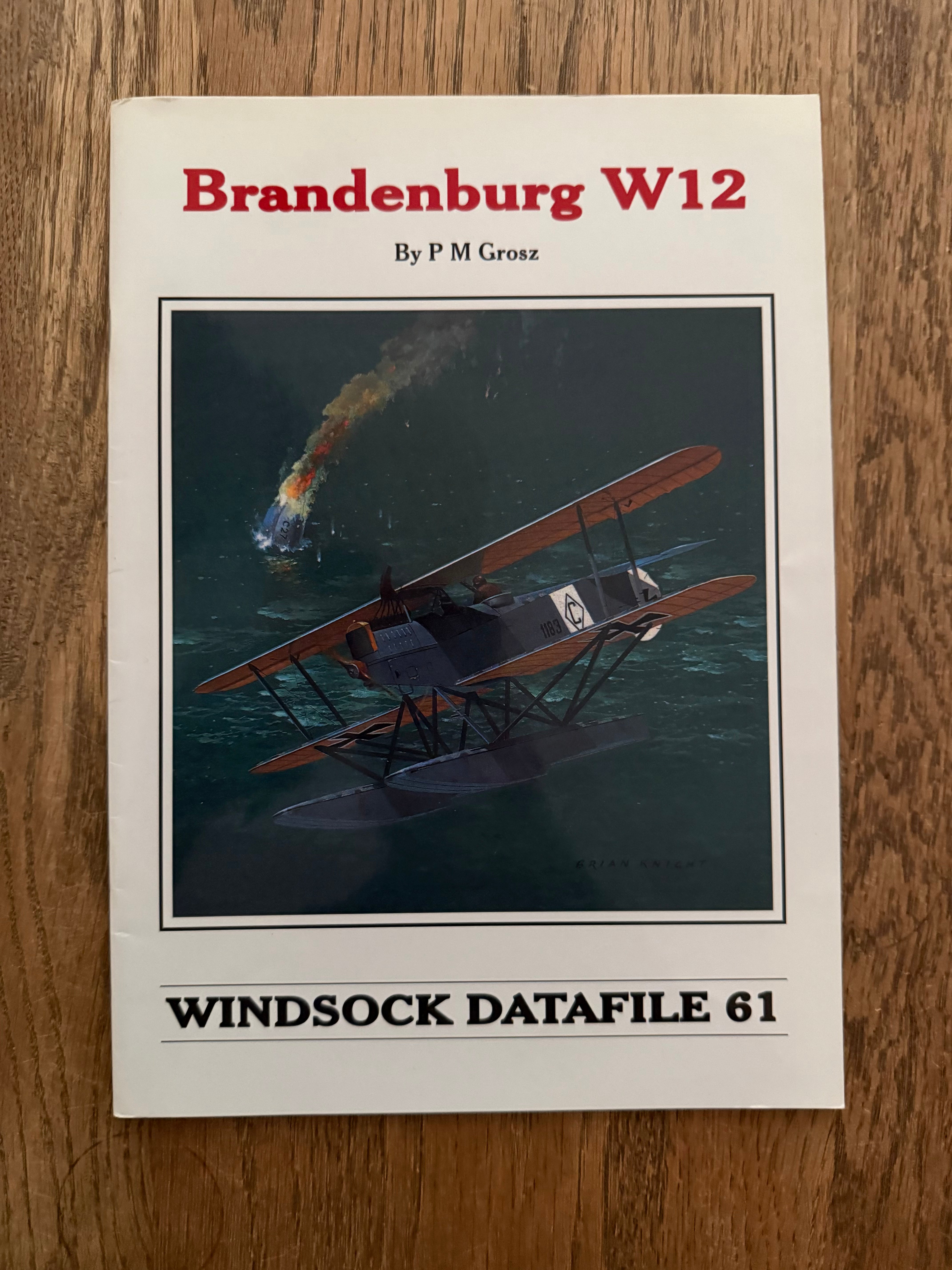 Windsock Data File 61 - Hansa-Brandenburg W12